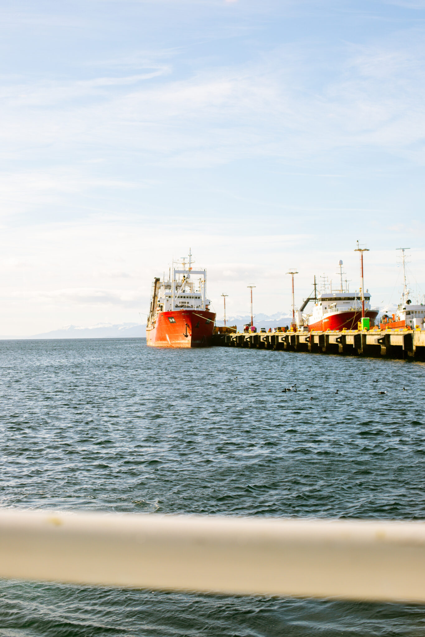 Canal Beagle (Ushuaia)