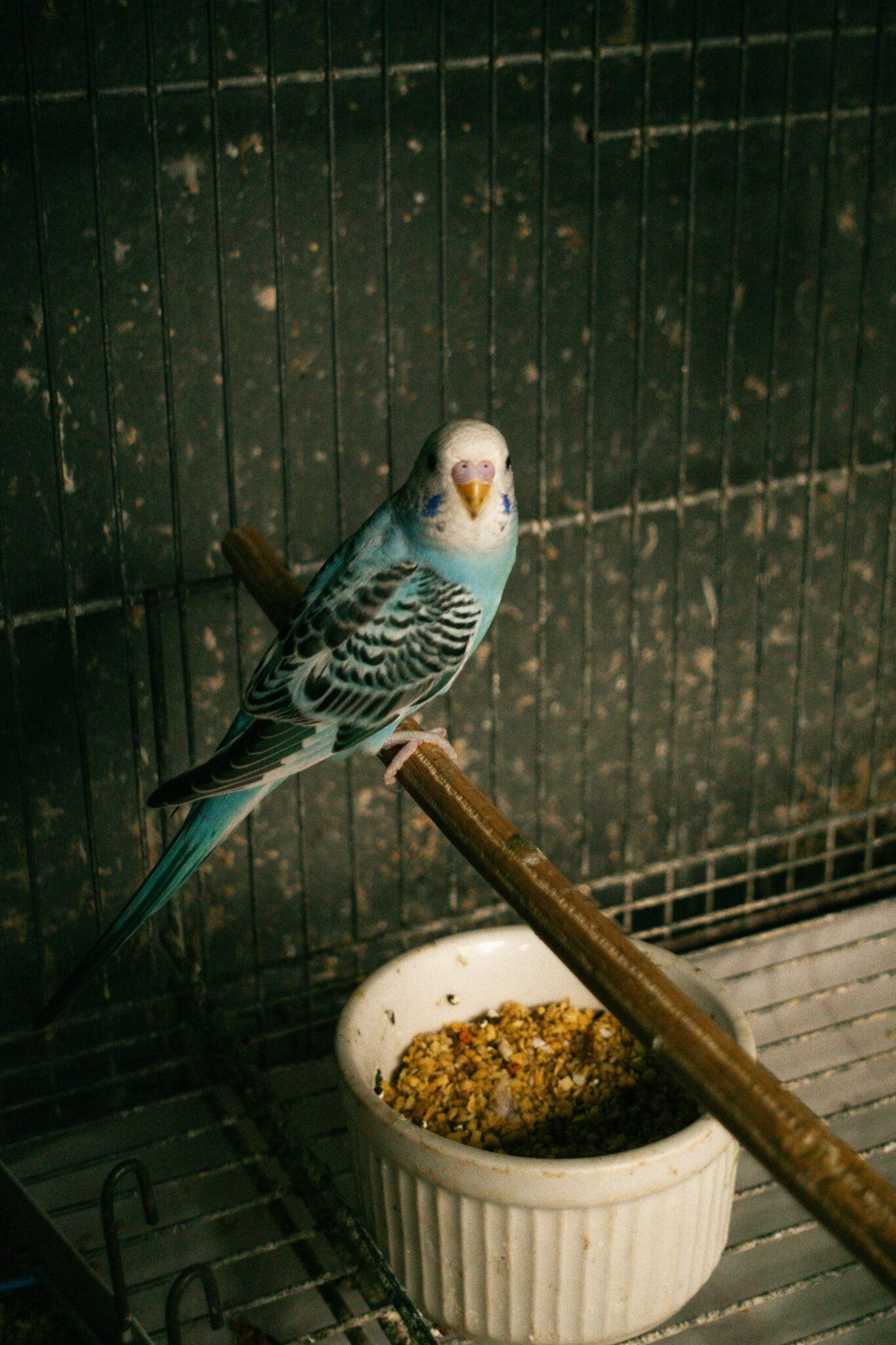 IMG-20250401-WA0039
